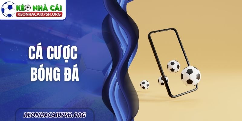 Cá Cược Bóng Đá - Những Sai Lầm Người Mới Cần Tránh 1 Cá Cược Bóng Đá - Những Sai Lầm Người Mới Cần Tránh
