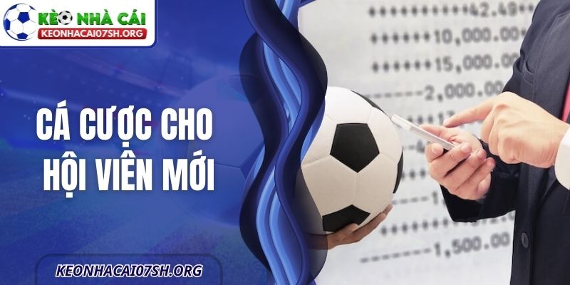 Cá Cược Cho Hội Viên Mới - Tránh Các Sai Lầm Phổ Biến 3 Cá Cược Cho Hội Viên Mới - Tránh Các Sai Lầm Phổ Biến