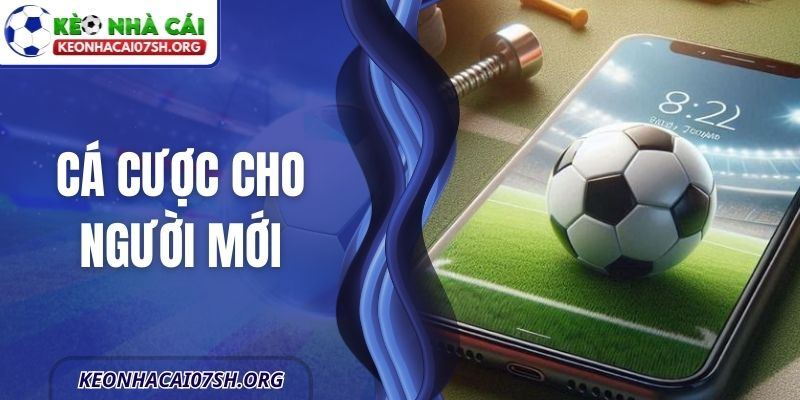 Cá Cược Cho Người Mới - Hướng Dẫn Tiếp Cận Thông Tin 5 Cá Cược Cho Người Mới - Hướng Dẫn Tiếp Cận Thông Tin