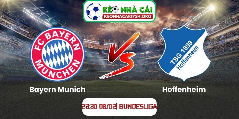 Nhận định bóng đá Bayern Munich vs Hoffenheim (23:30 08/02| Bundesliga) 8 Nhận định bóng đá Bayern Munich vs Hoffenheim