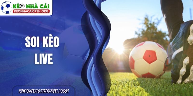 Soi Kèo Live -Hướng Dẫn Đầy Đủ Cho Người Mới Tham Gia 10 Soi Kèo Live -Hướng Dẫn Đầy Đủ Cho Người Mới Tham Gia